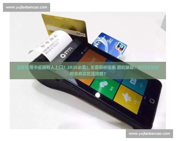 体育赛事实时比分查询平台功能解析与使用技巧全面指南详解与优化方案